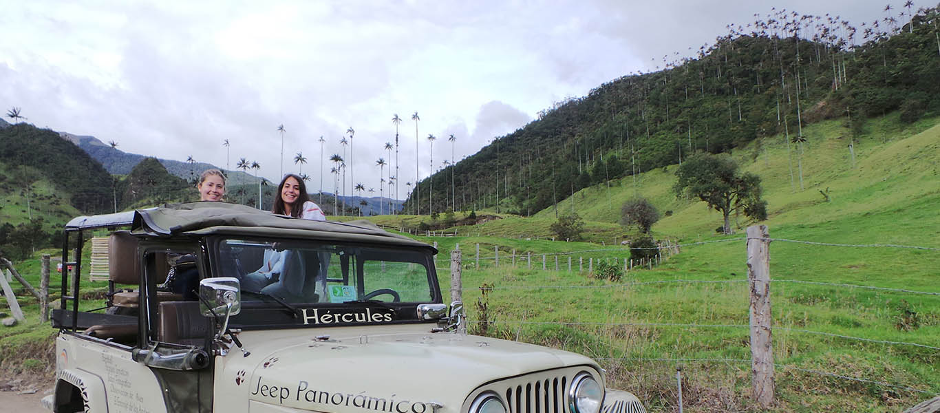 Valle de Cocora con sus Palmas de Cera